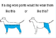 PD disp corner image 7116